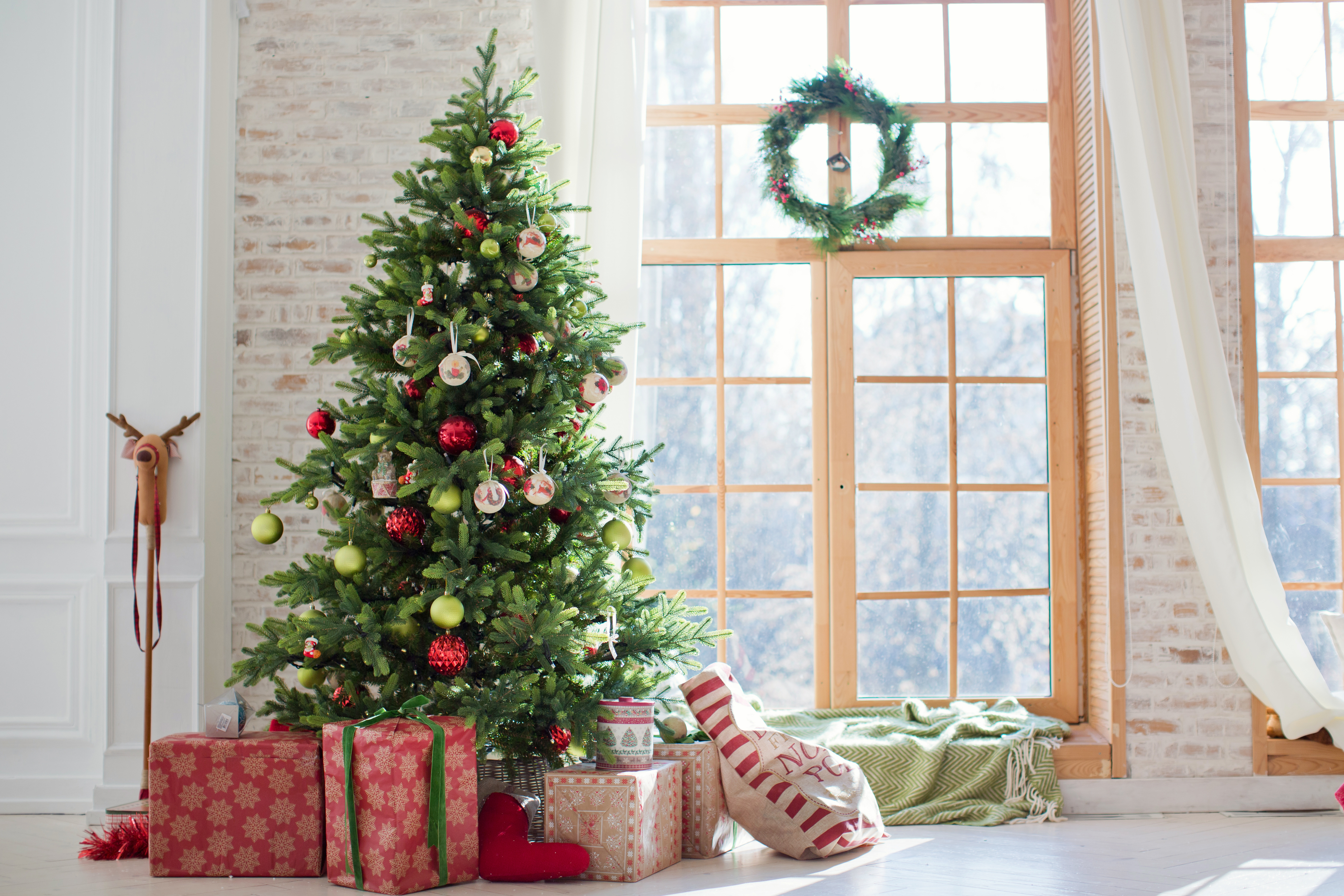 Chose your pine Christmas tree carefully