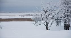 The Benefits of a Golf Property During Winter
