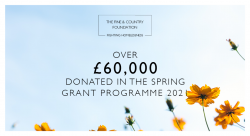 Over £60,000 donated in Spring Grant Programme!