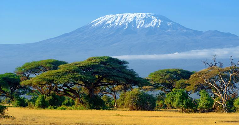 2019 International Adventure: Climb Mount Kilimanjaro