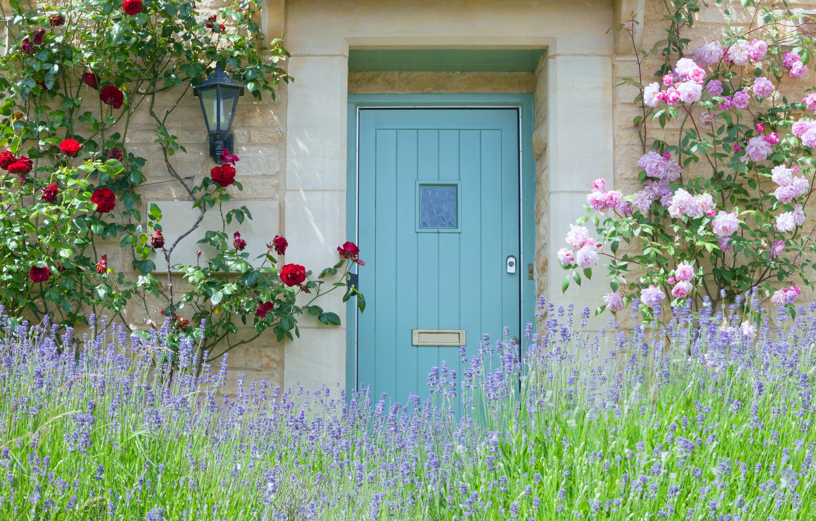 a pop of colour goes a long way