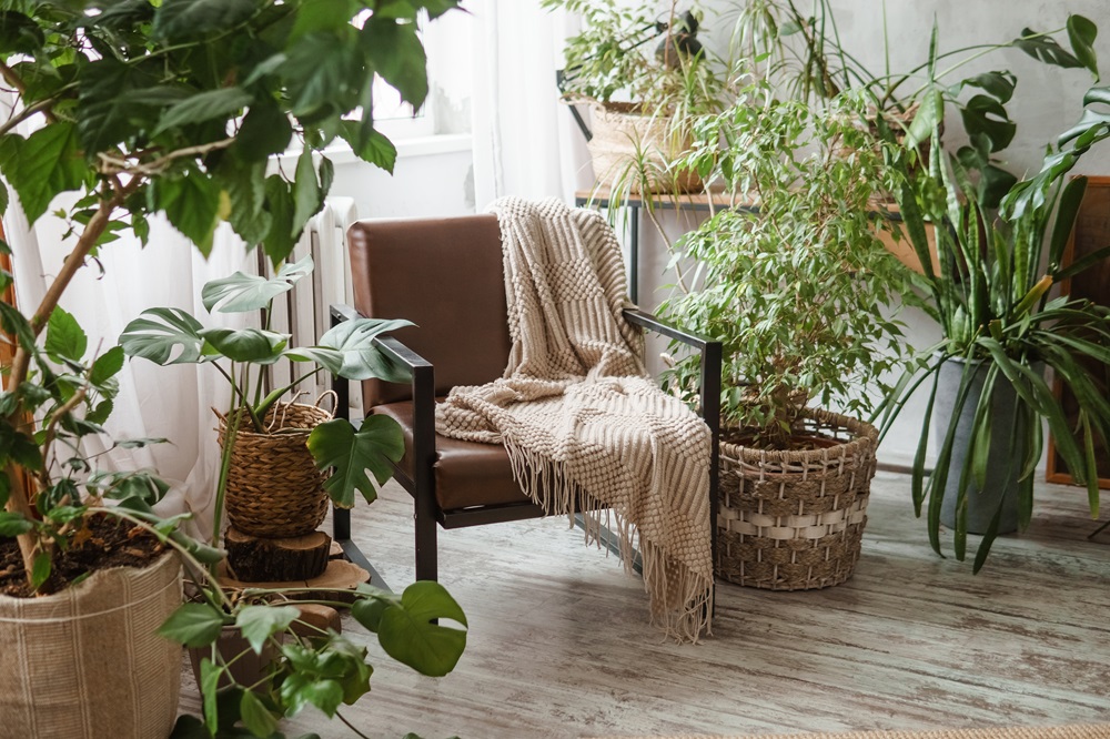 Make the most of your conservatory
