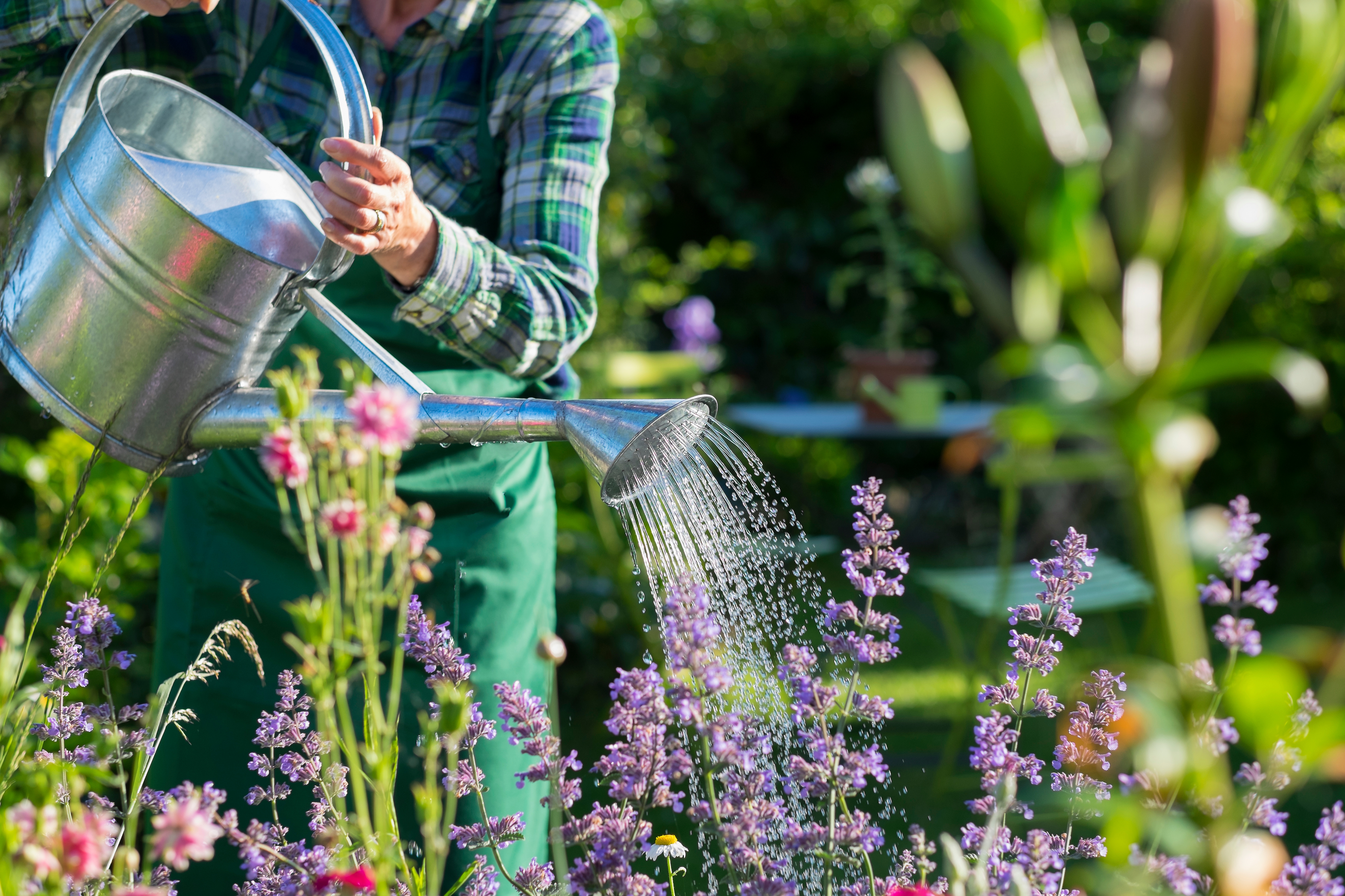 gardening-woman-watering-the-flowers-in-garden