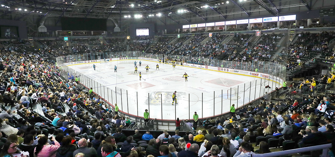 belfast giants ice hockey