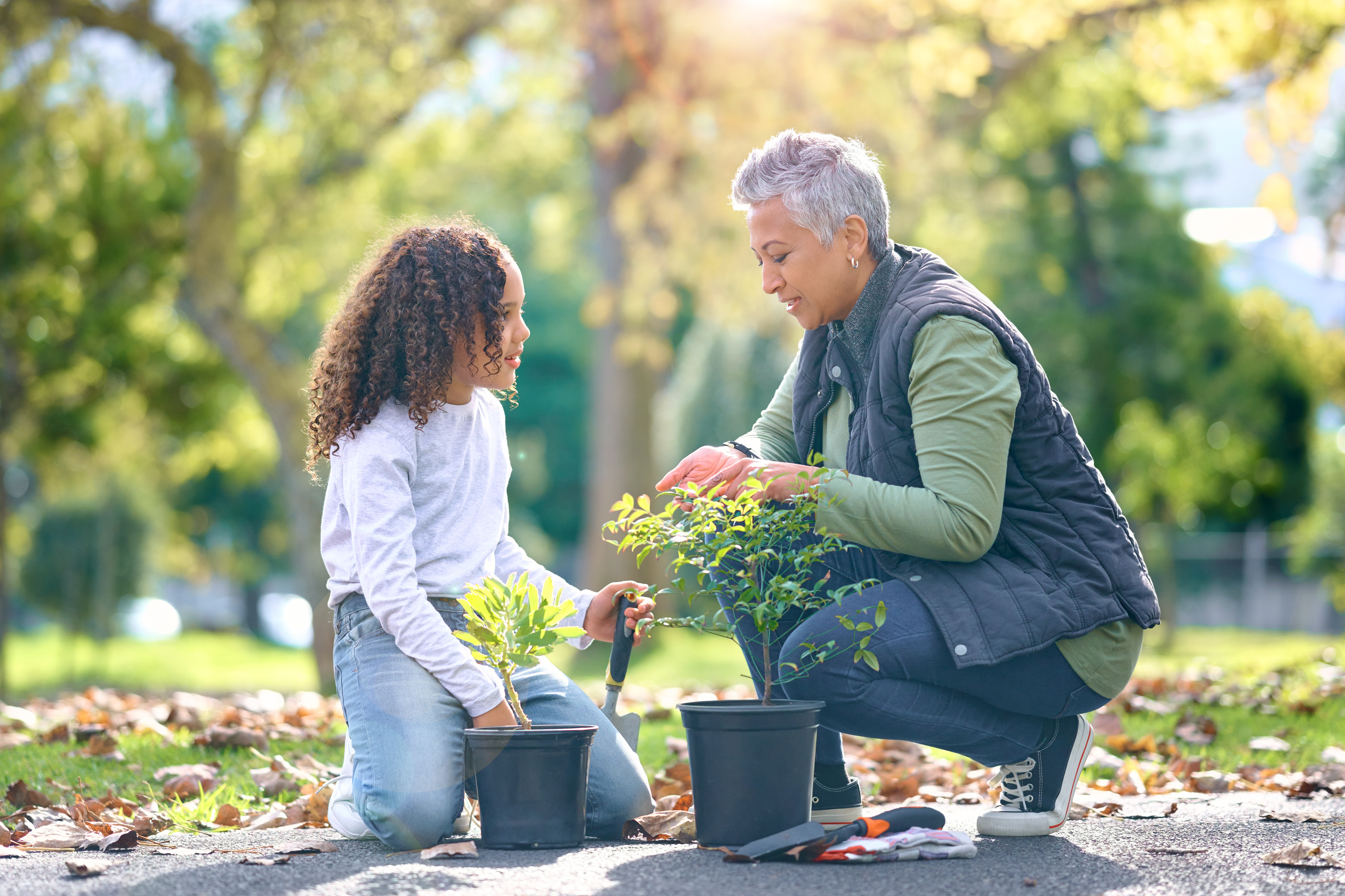 Celebrate the sunny seasons by planting your favourite trees, flowers, and plants