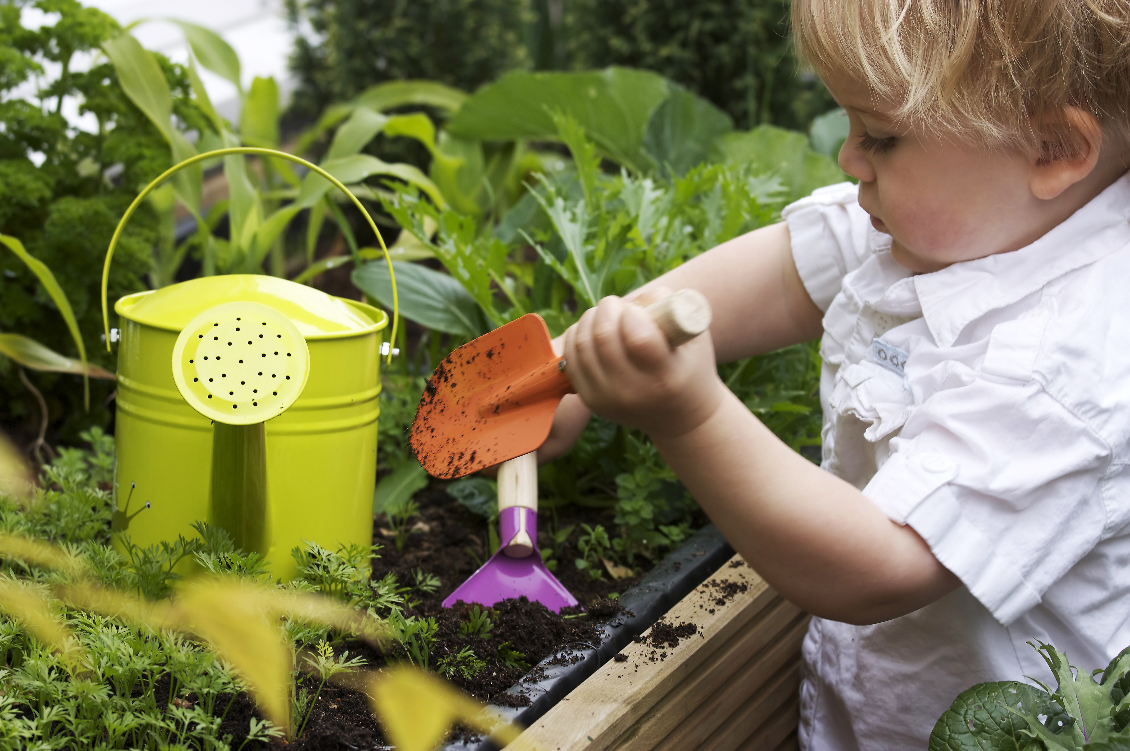 Дети посадили огород. Рыхление растений. Огород для детей. Огород в детском саду. Посадка растений в детском саду.