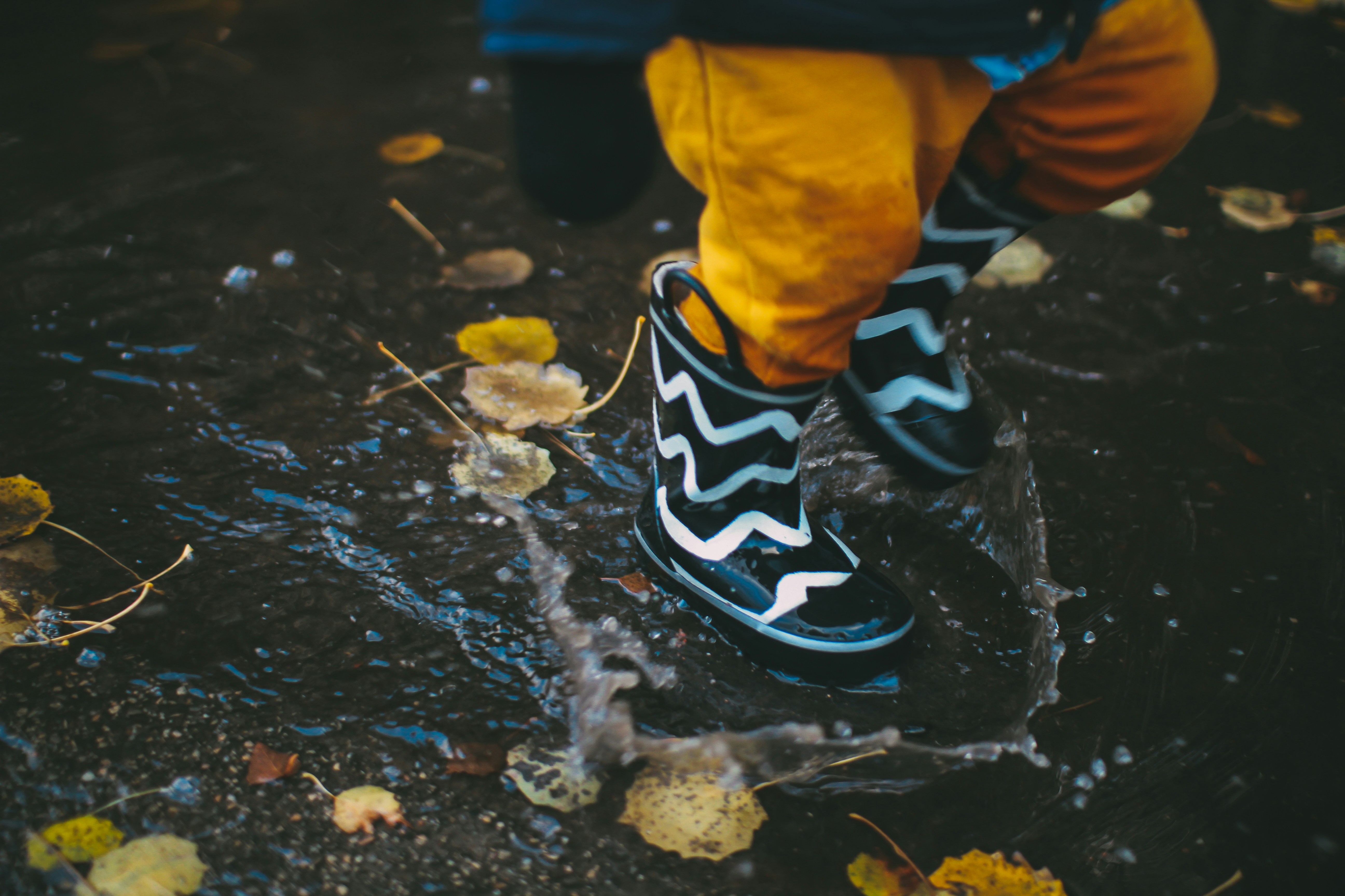 autumnal welly boots