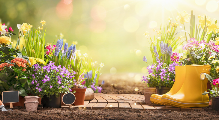 5 Tips to Update Your Garden for Summer