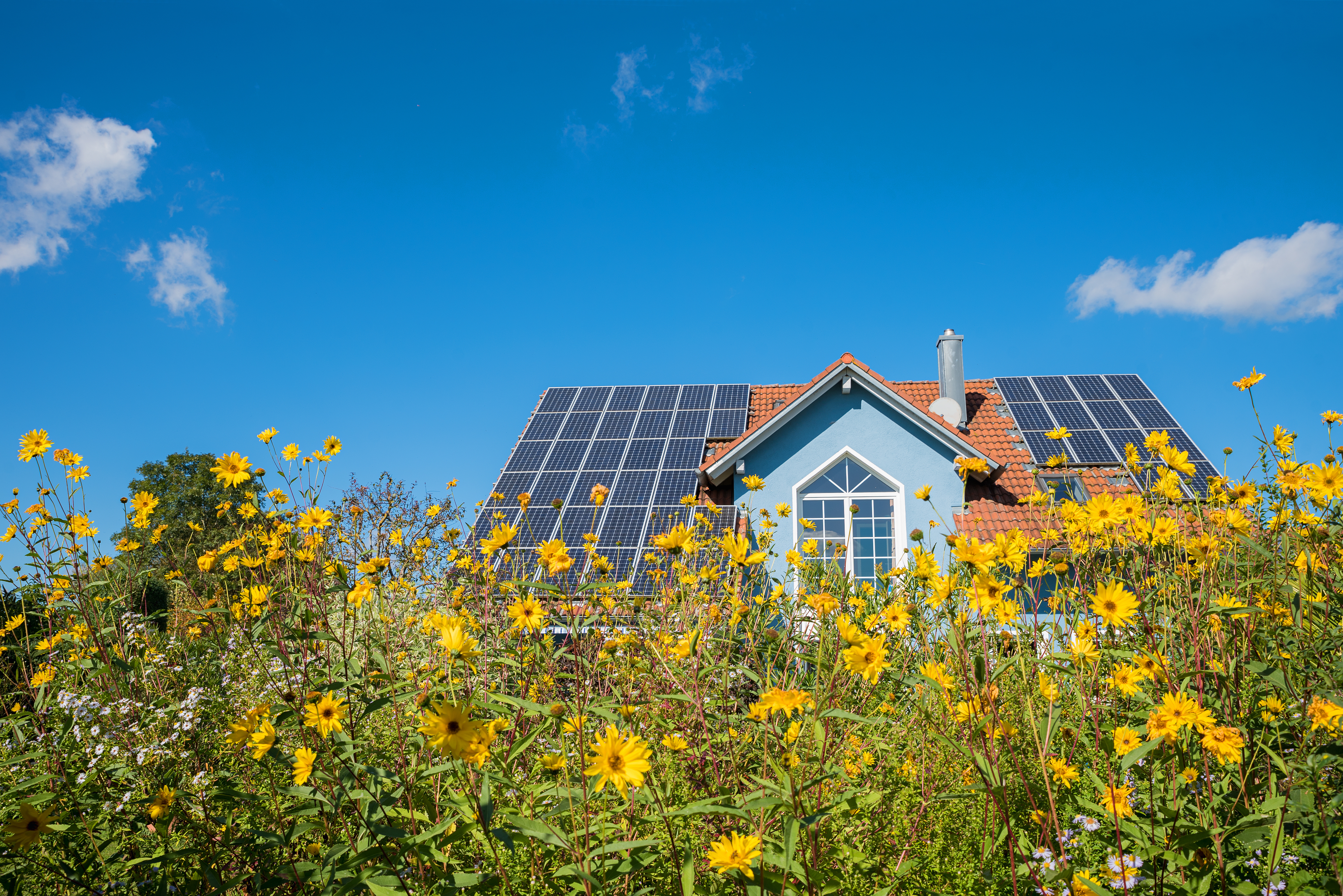 Go green with solar panels