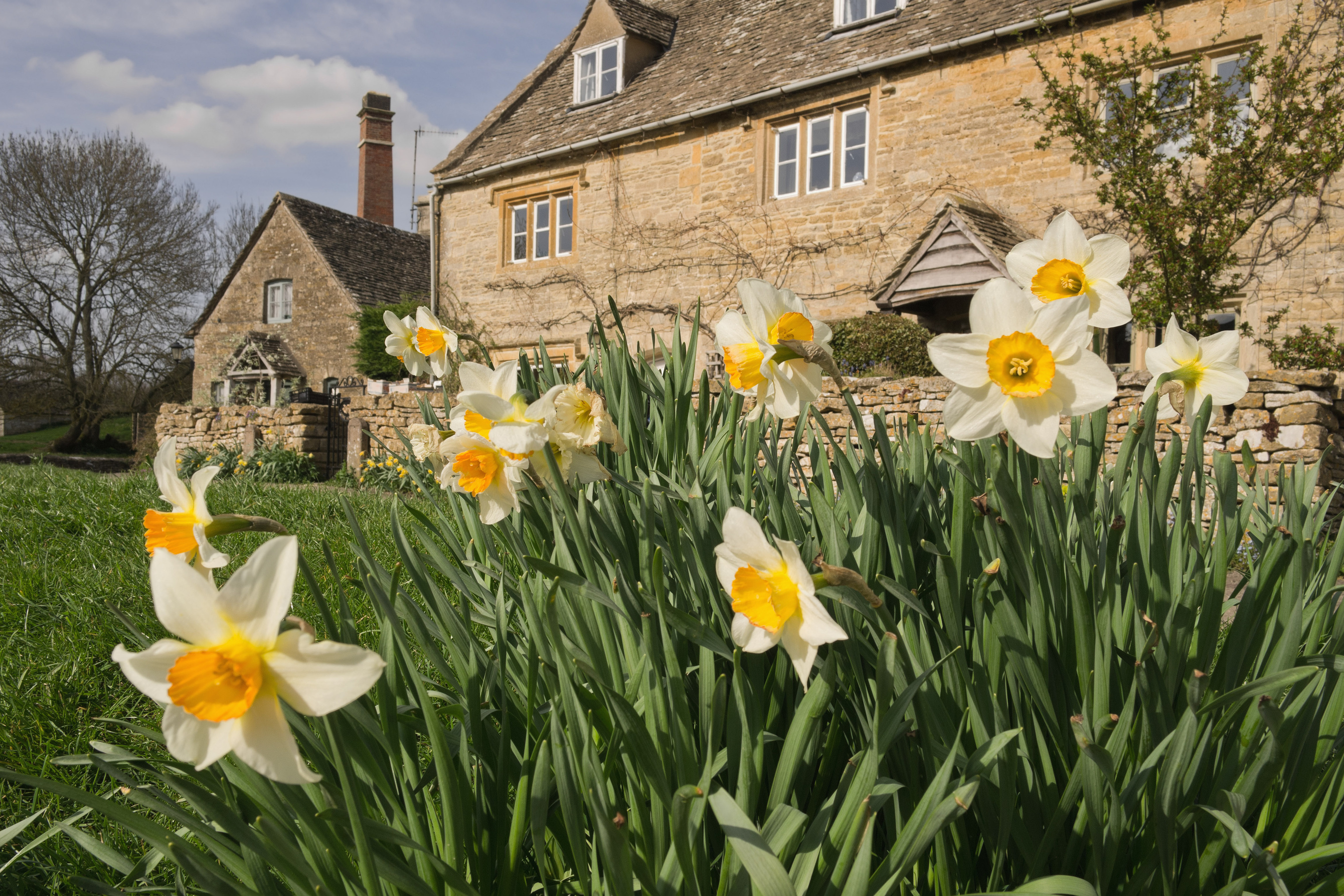 Top tips to attract buyers this spring 