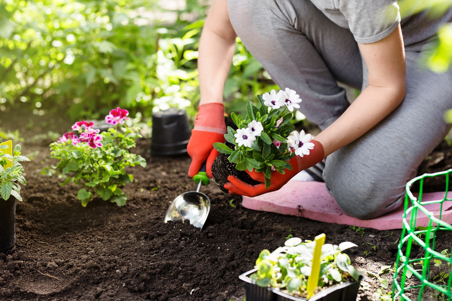 It’s best to avoid digging or planting in wet soil, as working it damages the soil structure