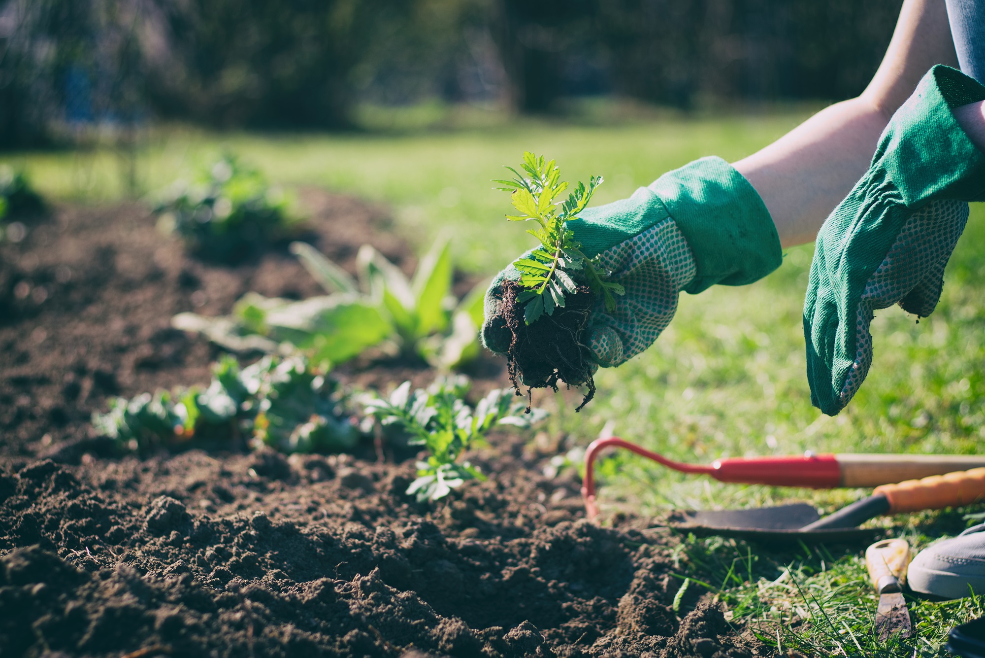 it’s time to roll up your sleeves and get your hands dirty