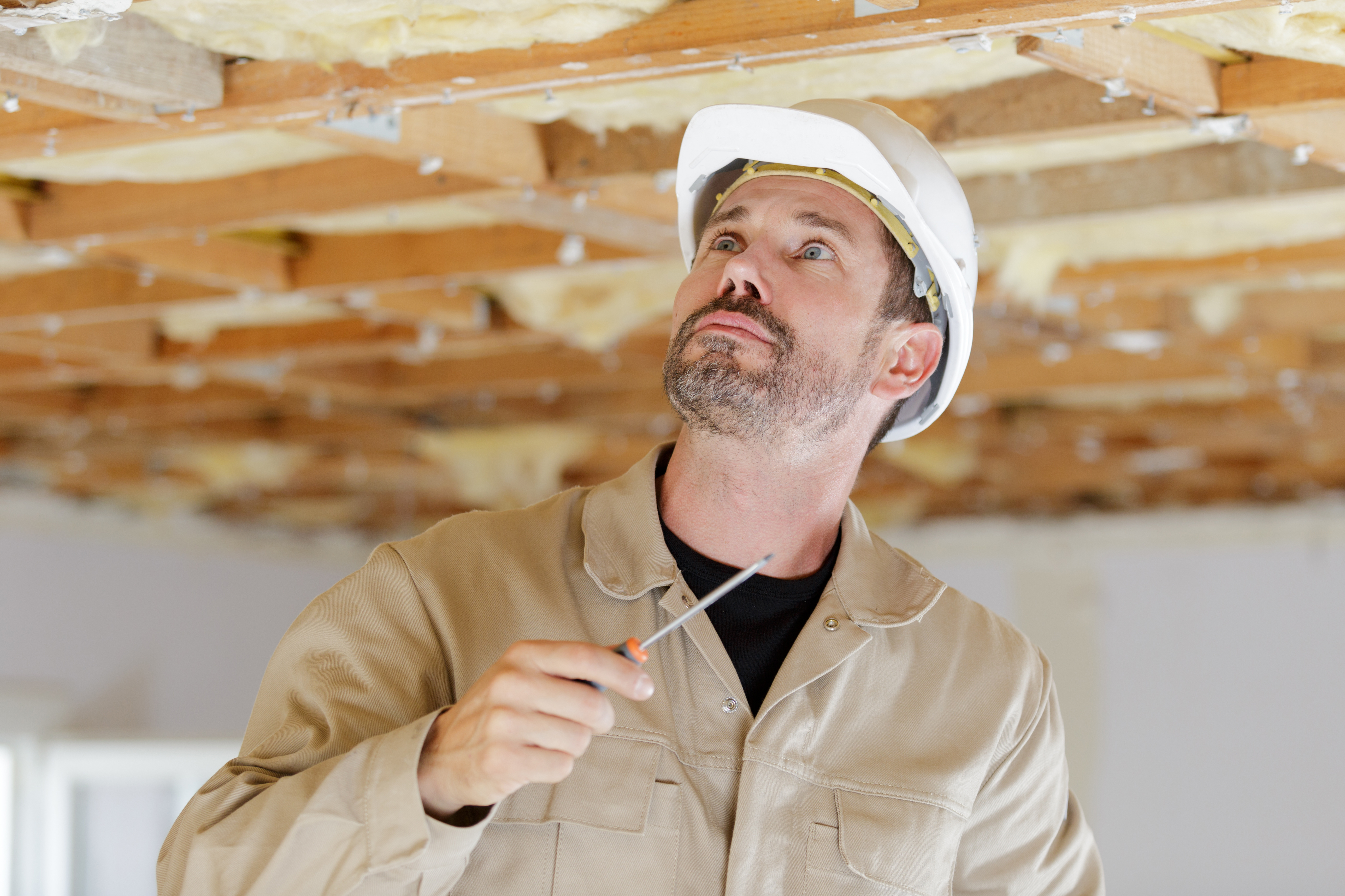 Carry out an inspection in your attic