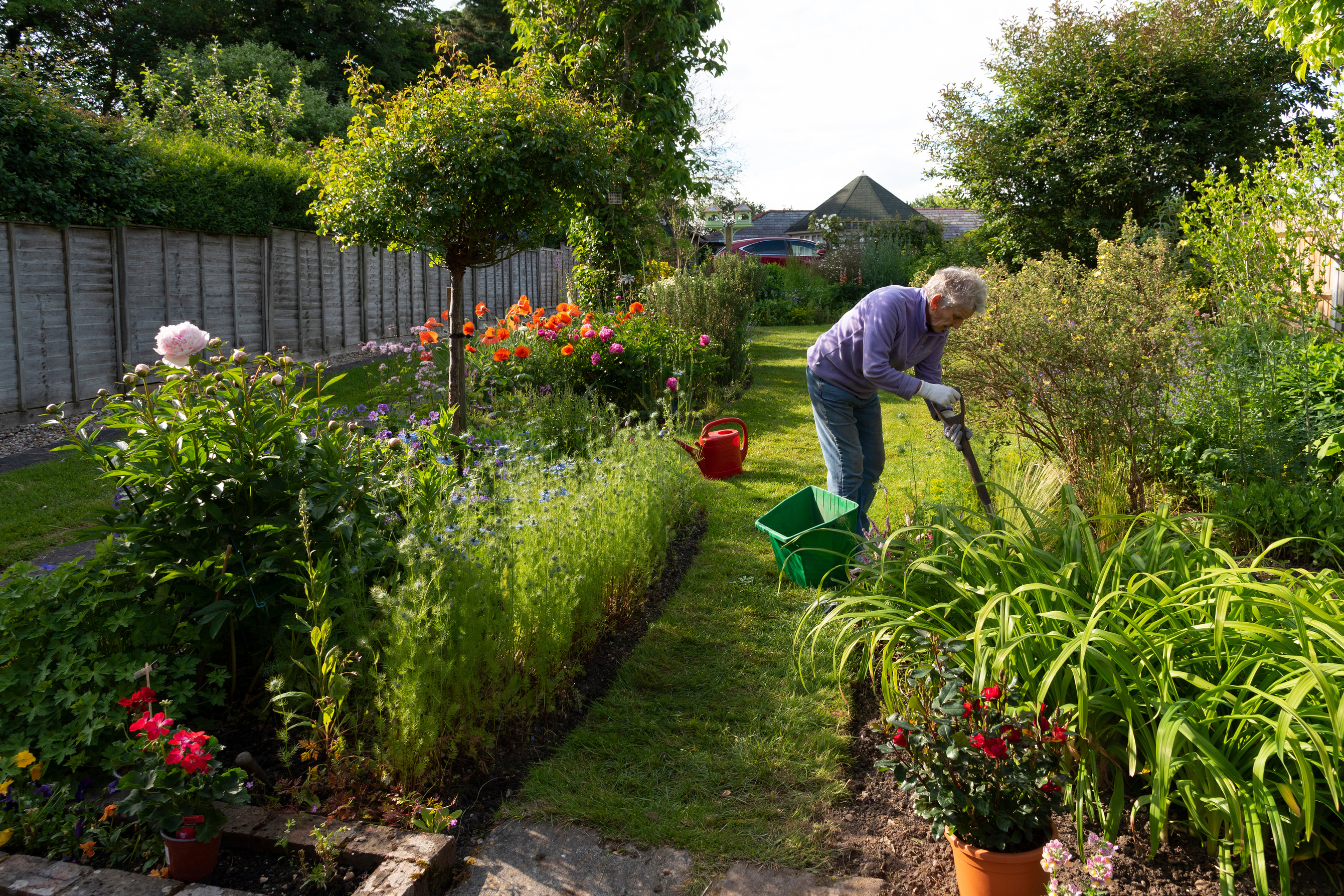 man_watering_garden_uk
