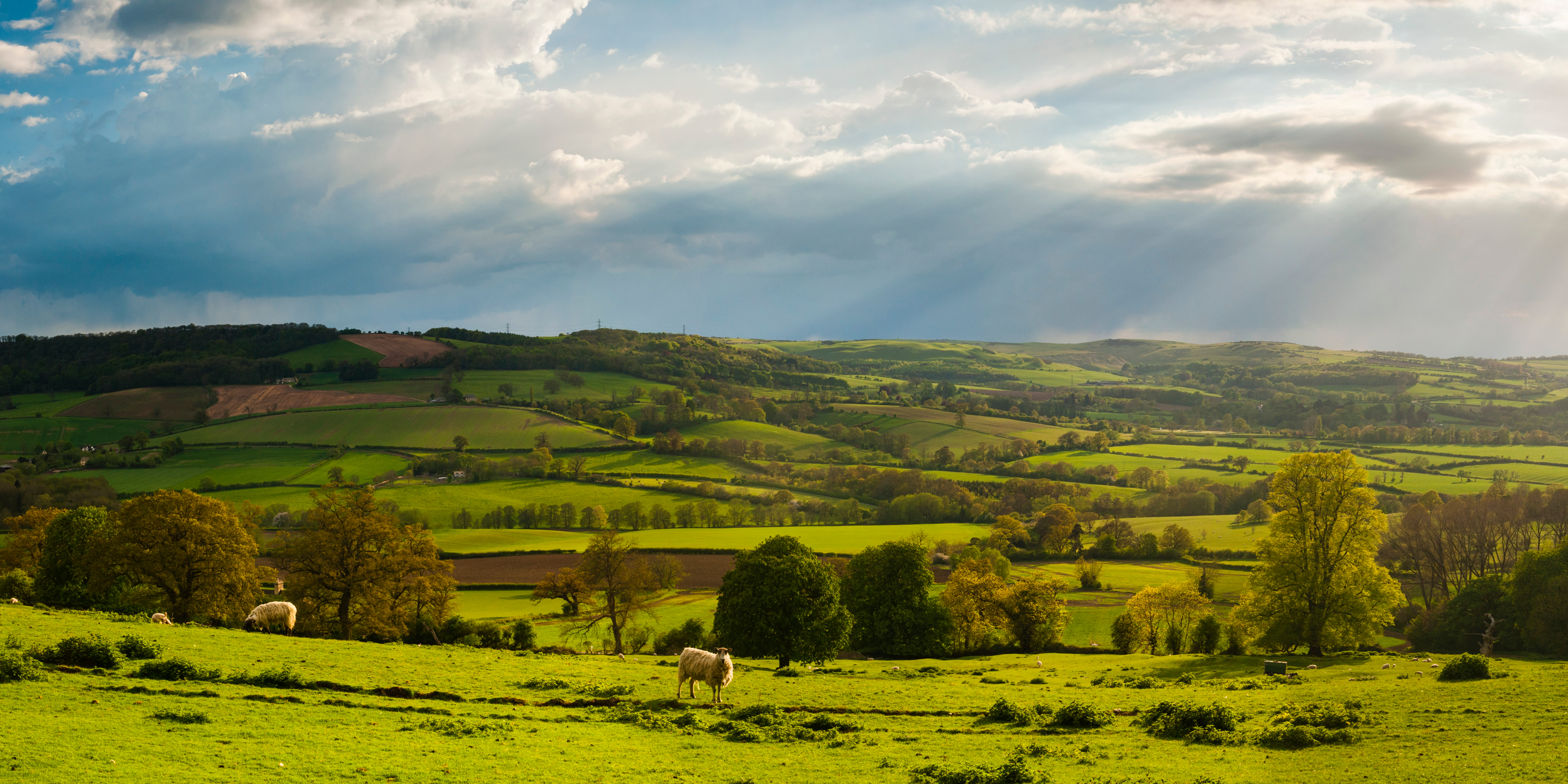 Midlands Ilmington, Warwickshire