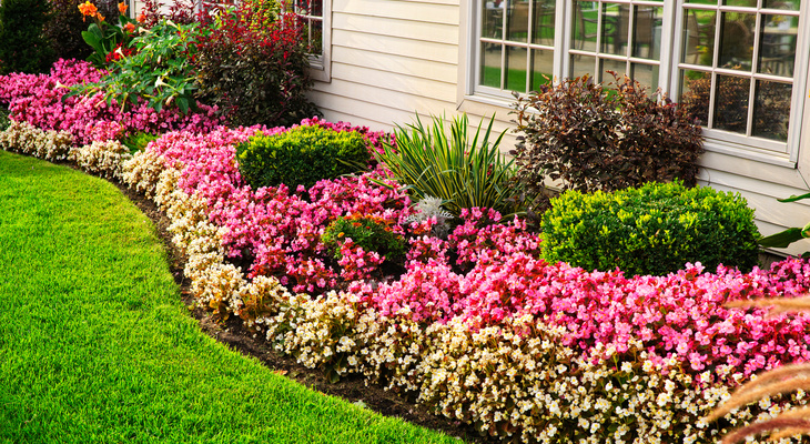pretty_front_flowerbeds