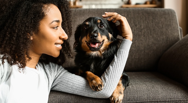 Renting with Pets: All You Need to Know