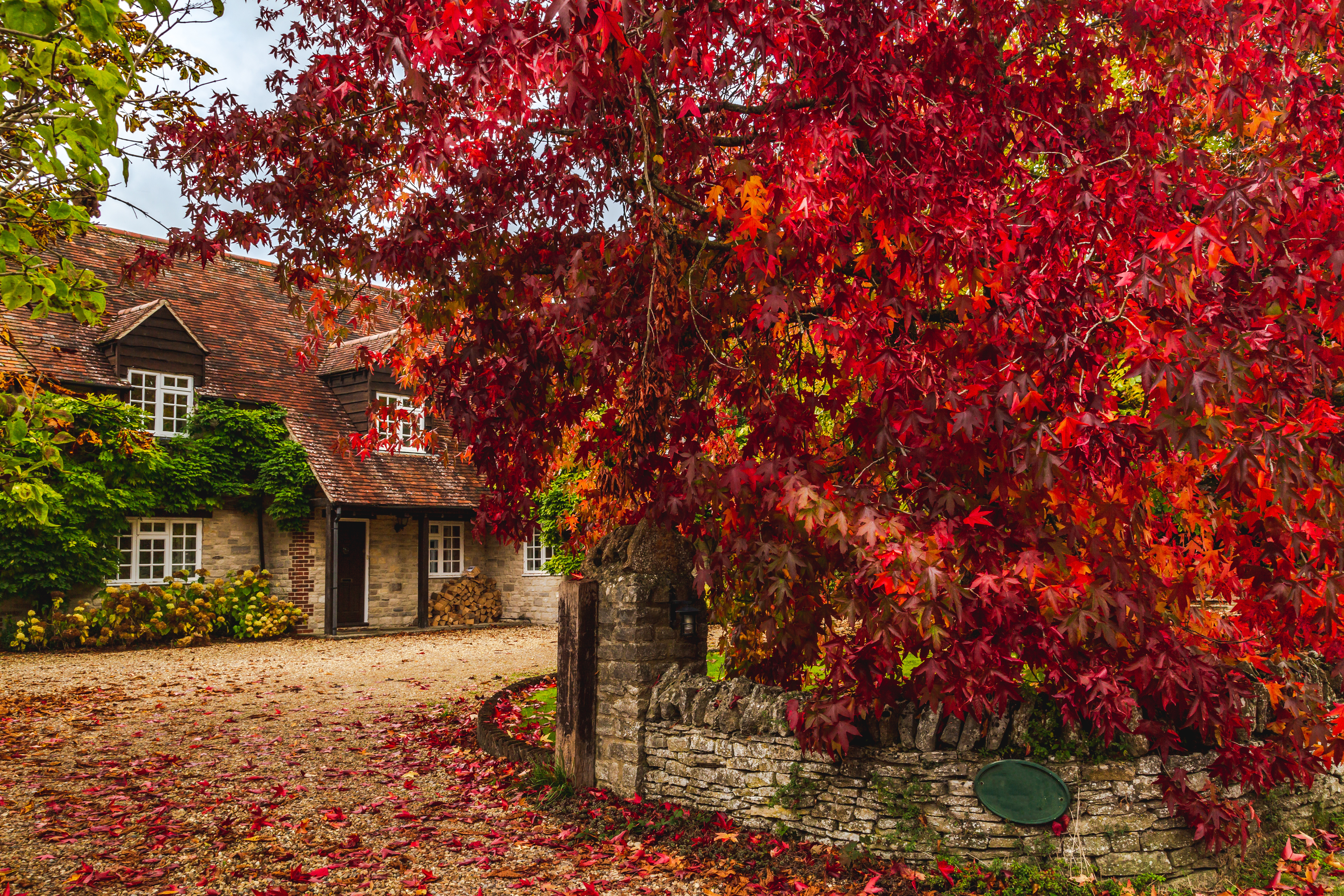 Rural cottage terrace with autumnal trees