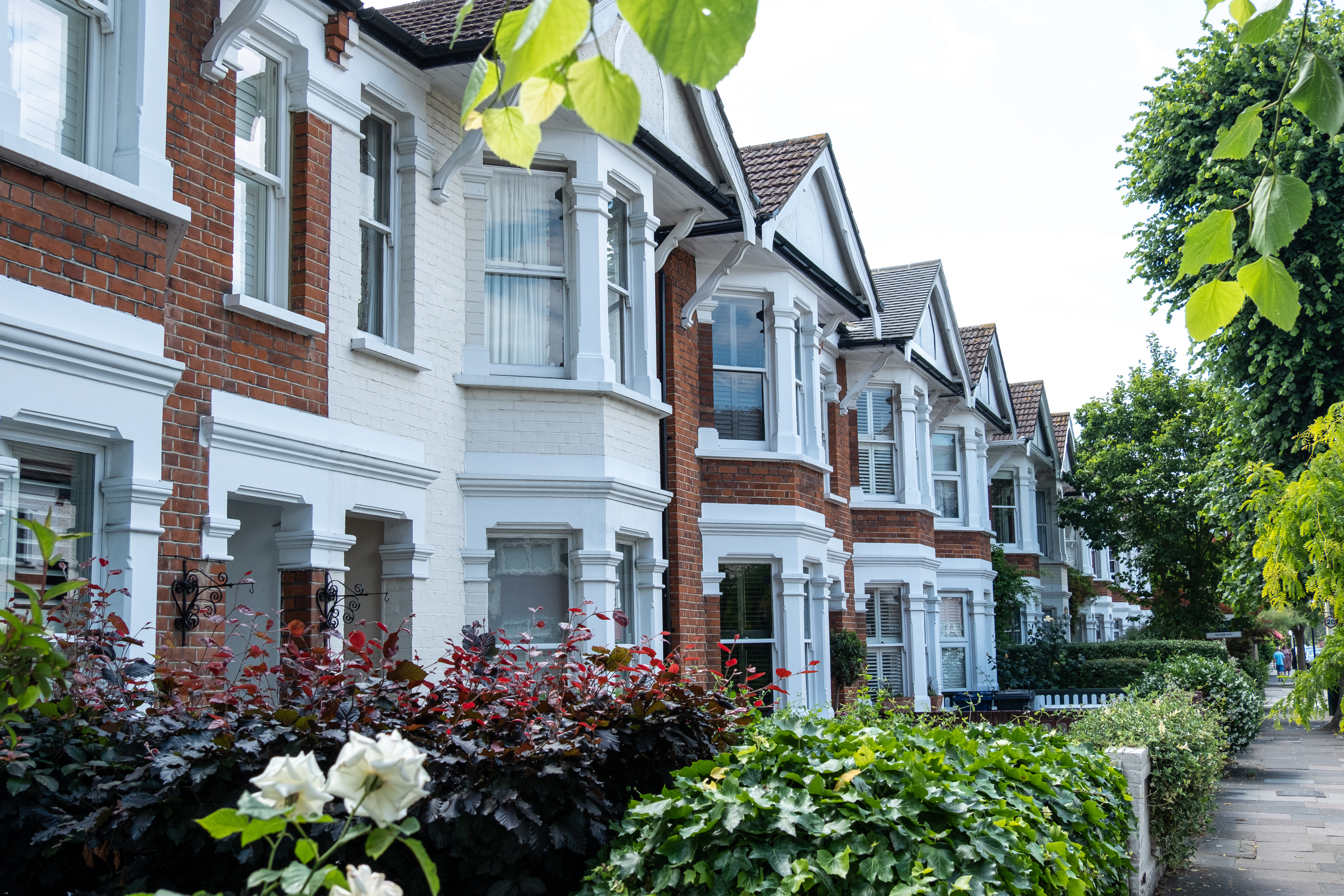 terrace houses in UK with trees