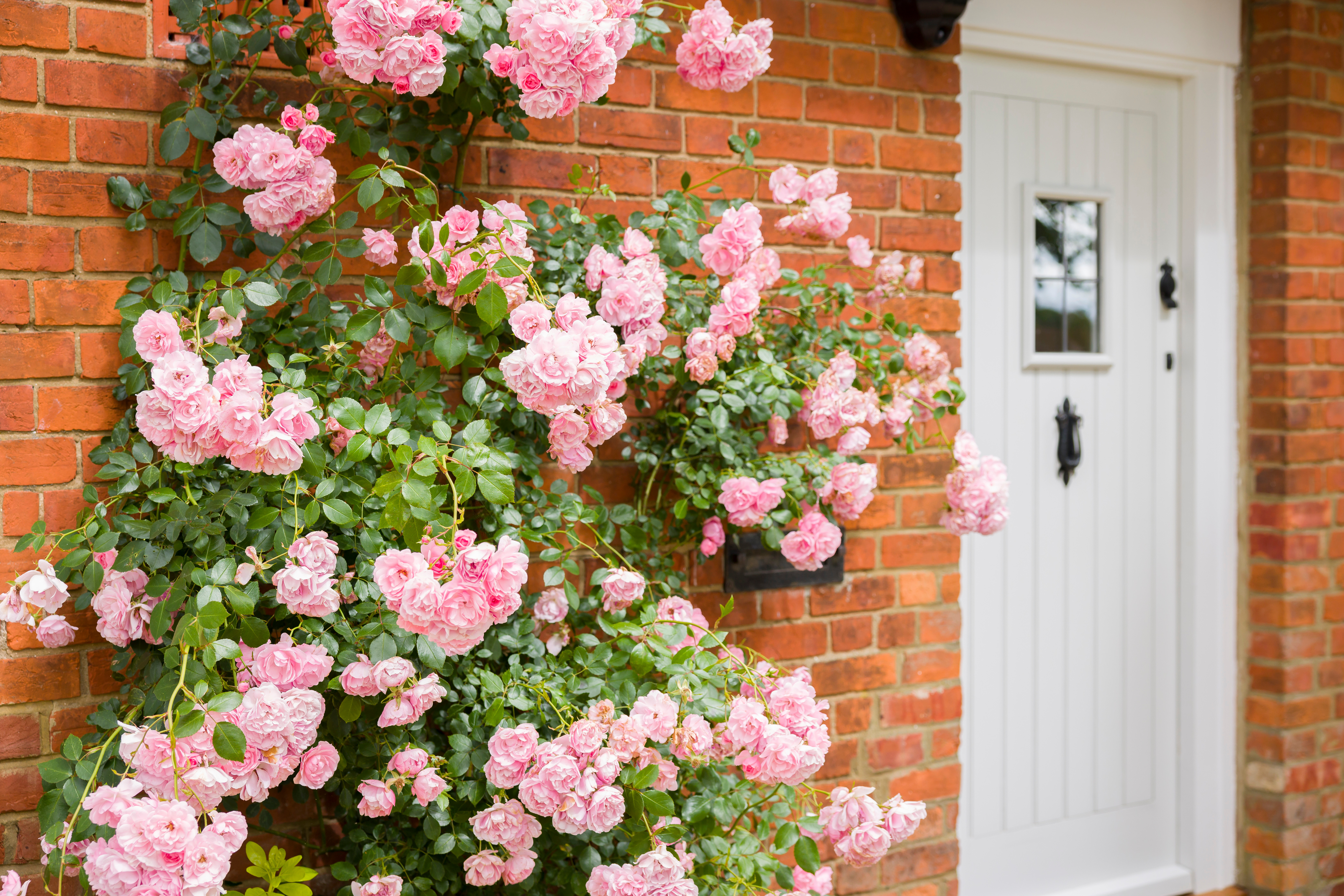 The weather in summer in the UK creates the best conditions to showcase the outside of your property