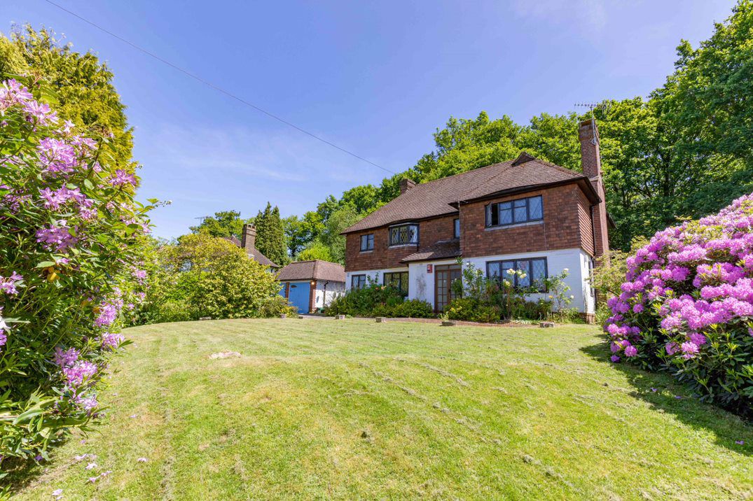 west sussex pretty floral lawn garden in spring traditional house.jpg