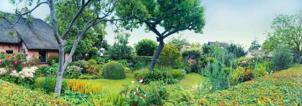Top 10 ways to add value to your garden
