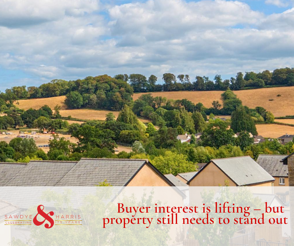 Buyer interest is lifting – but property still needs to stand out