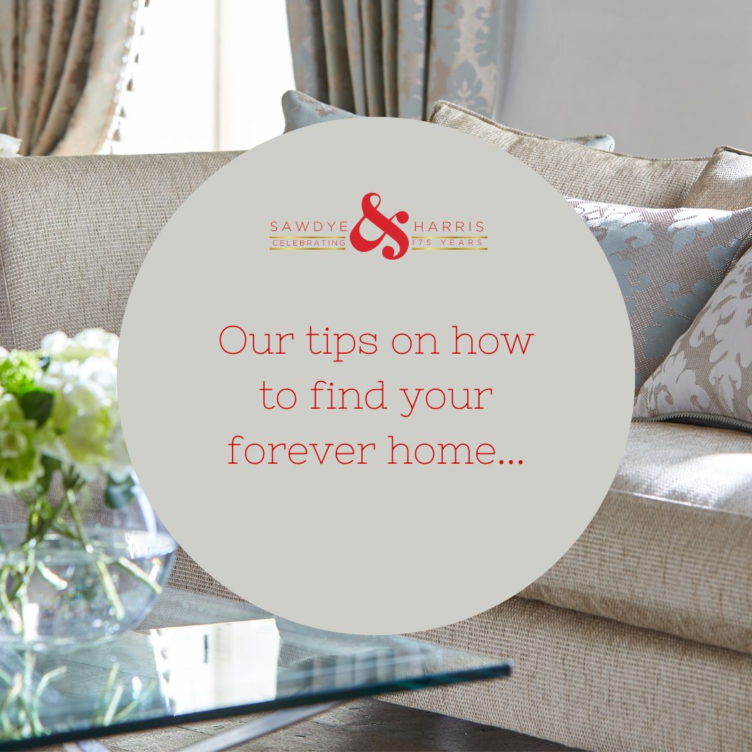 OUR TOP TIPS TO HELP FIND YOUR FOREVER HOME 