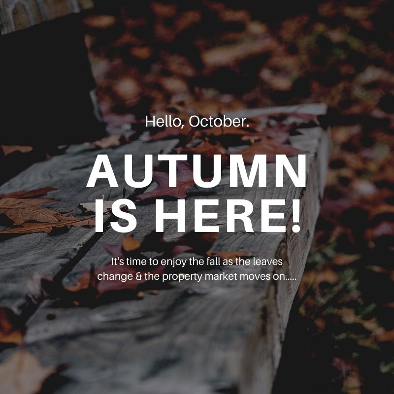 autumn_leaf_social_media_graphic