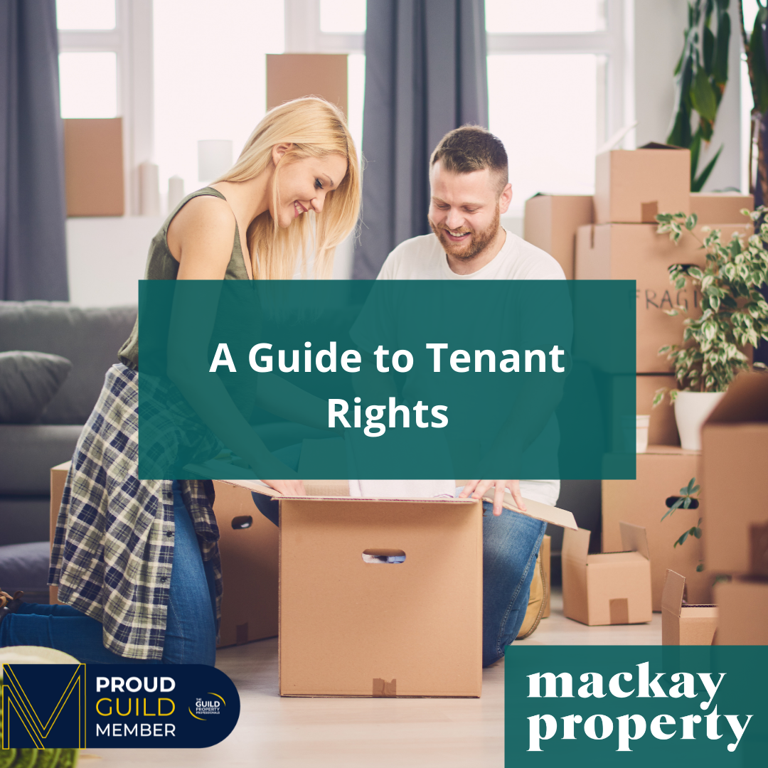 A Guide To Tenant Rights Our Blog 4905