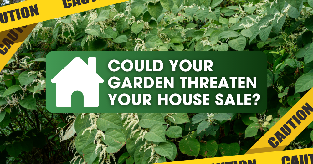 140623_could_your_garden_threaten_your_house_sale_hd