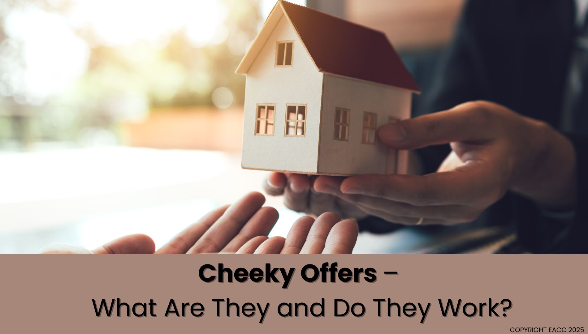 Buyers: Everything You Wanted to Know About Cheeky Offers But Were Afraid to Ask