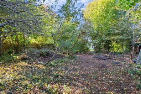Rear Of Garden
