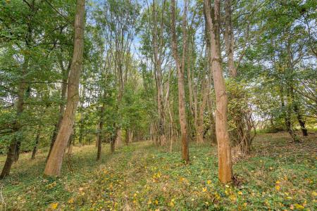 5 bedroom Detached house for sale in Cuxham Road, Watlington, OX49