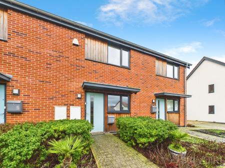 Burrow Drive, Watton, IP25