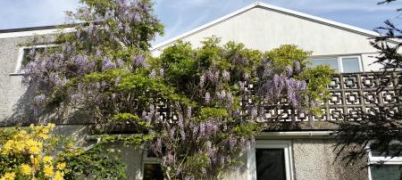 4 bedroom Detached bungalow for sale in Sunnybanks, Hatt, PL12