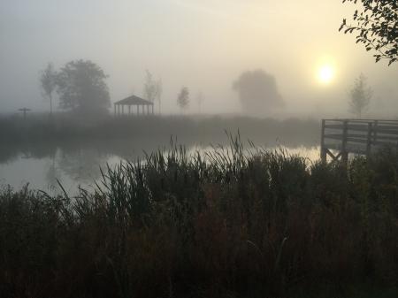 4 bedroom Detached house to let in Song Thrush Drive, Finberry, Ashford, TN25