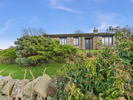 Pine Needles, Farlam, Brampton, CA8