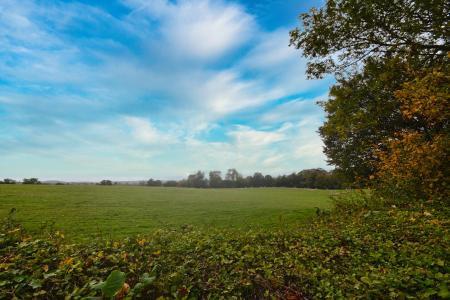 3 bedroom Detached bungalow for sale in Swainshill, Hereford, HR4