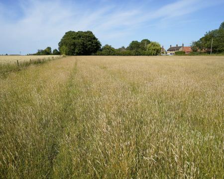 0 bedroom Land (Commercial) for sale in Authorpe, Louth, LN11