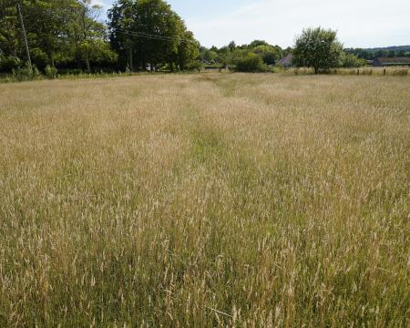 0 bedroom Land (Commercial) for sale in Authorpe, Louth, LN11