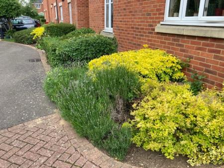 2 bedroom Flat to let in Pump Place, Old Stratford, Milton Keynes, MK19