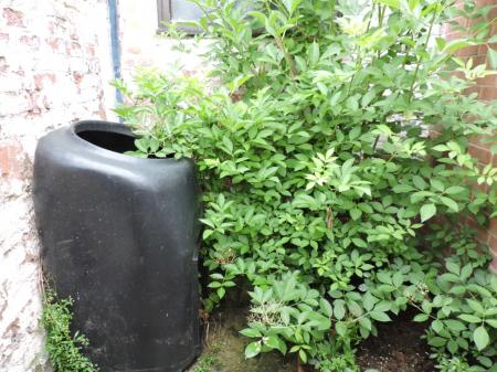 3 bedroom Cottage to let in East Street, Gotham, NG11