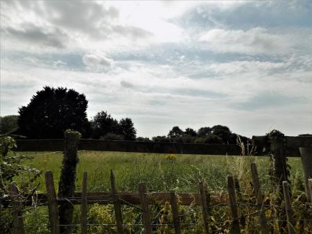 2 bedroom Semi-detached bungalow for sale in Field Bungalow, Aslockton