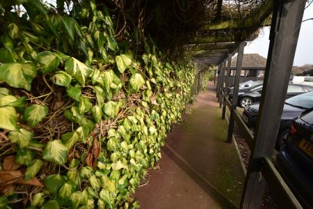 2 bedroom Semi-detached bungalow for sale in Badger Court, Loughborough, LE11