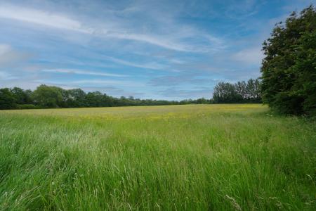 7 bedroom Detached house for sale in Main Street, Long Whatton, LE12