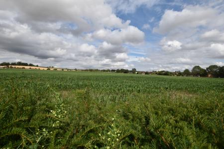 3 bedroom Semi-detached house for sale in Moor Lane, Normanton on Soar, LE12