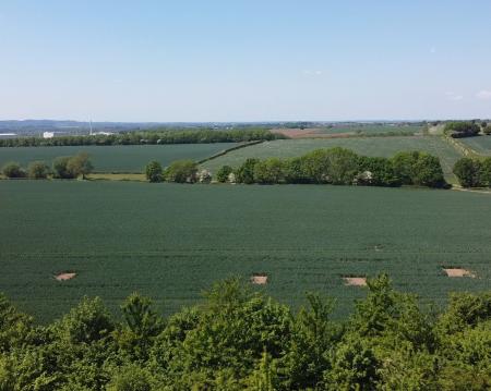 5 bedroom Detached house for sale in Southfield Avenue, Sileby, LE12