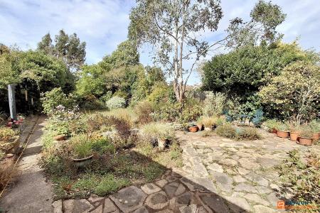 3 bedroom Detached house for sale in Grafton Avenue, Netherton, Peterborough, PE3