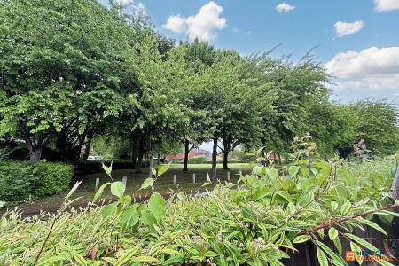 2 bedroom Detached bungalow for sale in Long Pasture, Werrington, Peterborough, PE4